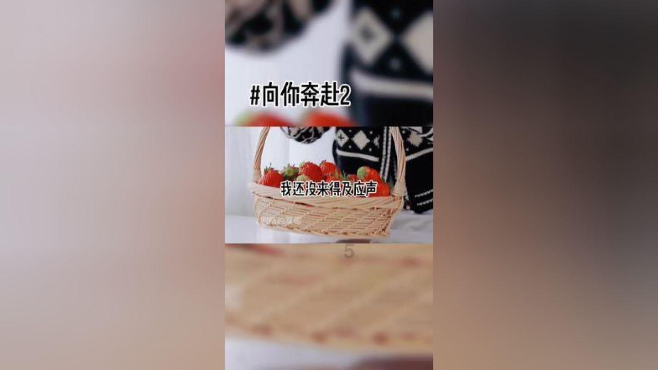 超三国无双6