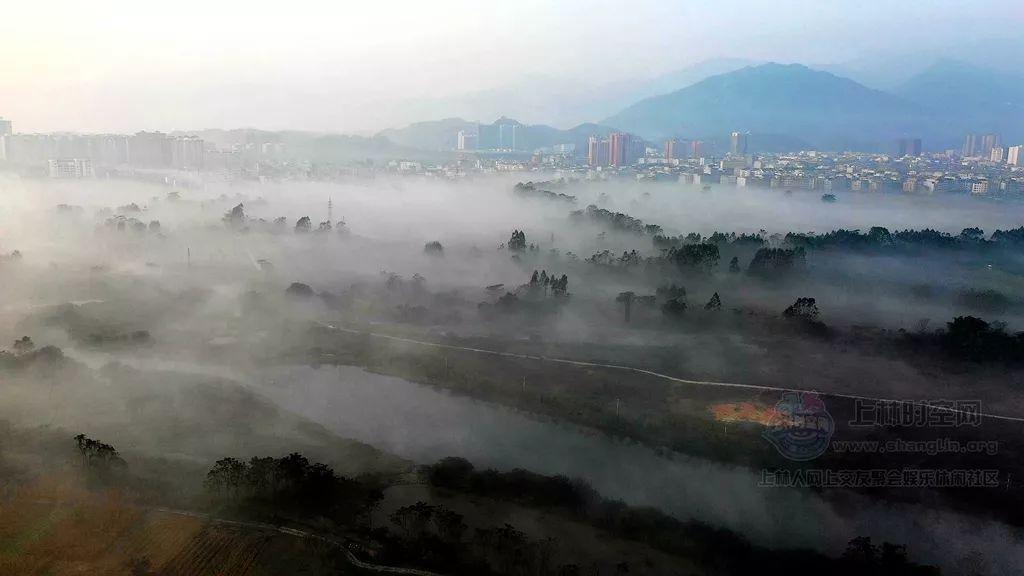 救援小肥兔