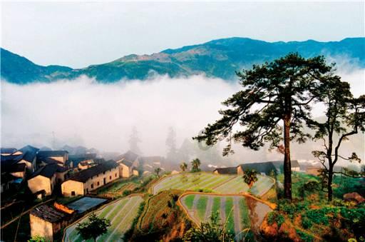 强信心 稳预期 助增长 临潼区:加快建设中华文化会客厅 打造世界级旅游目的地