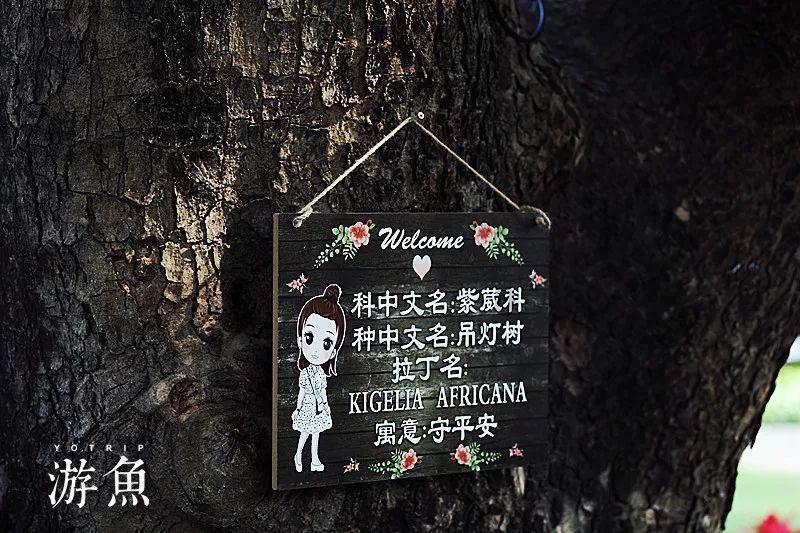 五一劳动节的作文300字