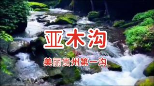 救援萌老虎