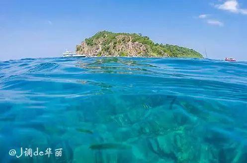 全民烧脑3去广告版