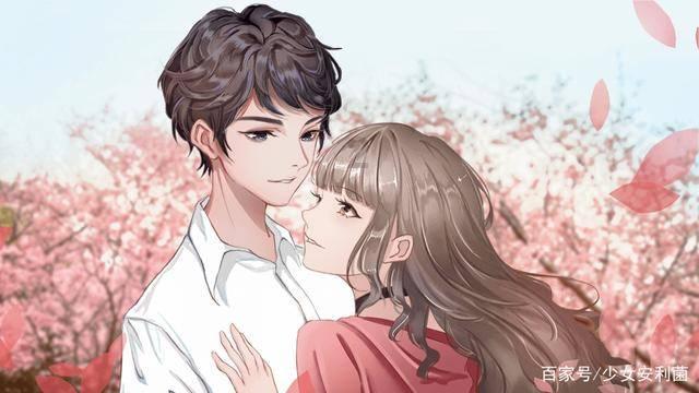 完美的收藏品