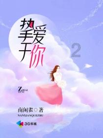 流星蝴蝶剑